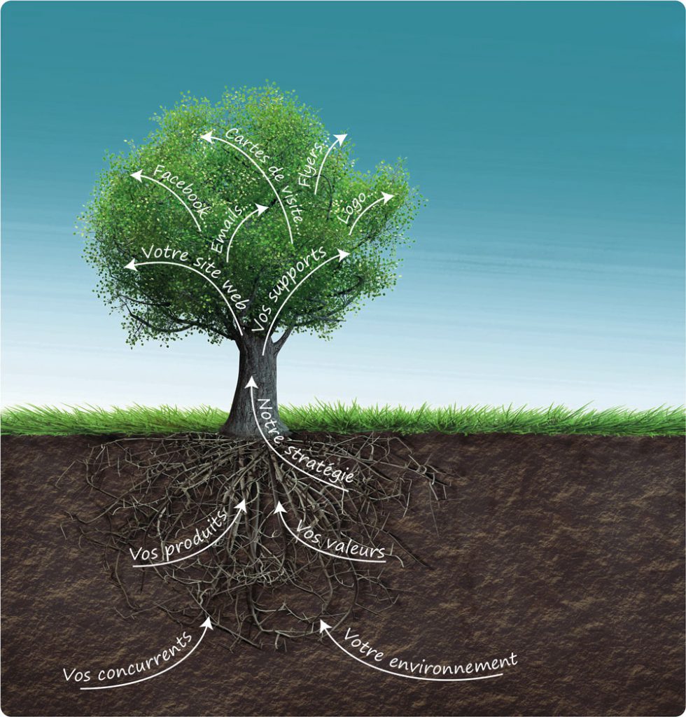 IllustrationArbre Sève de COM' Illustration